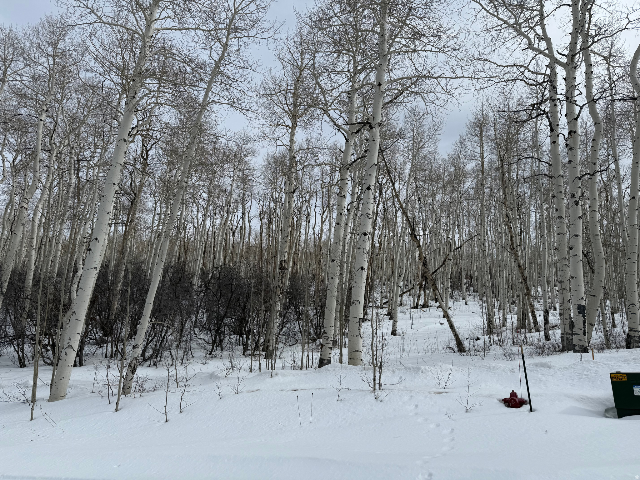 SOLDIER SUMMIT ESTATES - Land