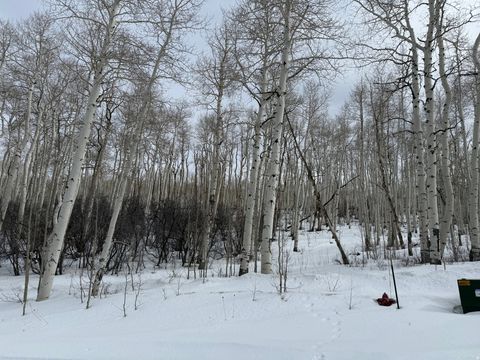 Tiny photo for DR #53, Spanish Fork, UT 84660 (MLS # 2144284)