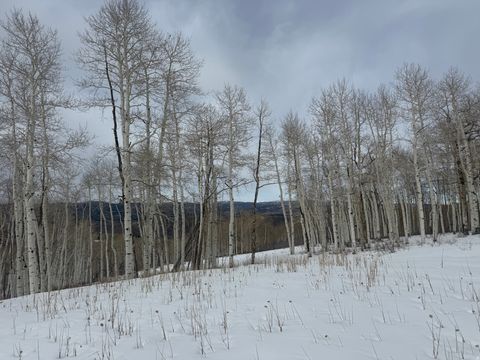 Tiny photo for DR #53, Spanish Fork, UT 84660 (MLS # 2144284)