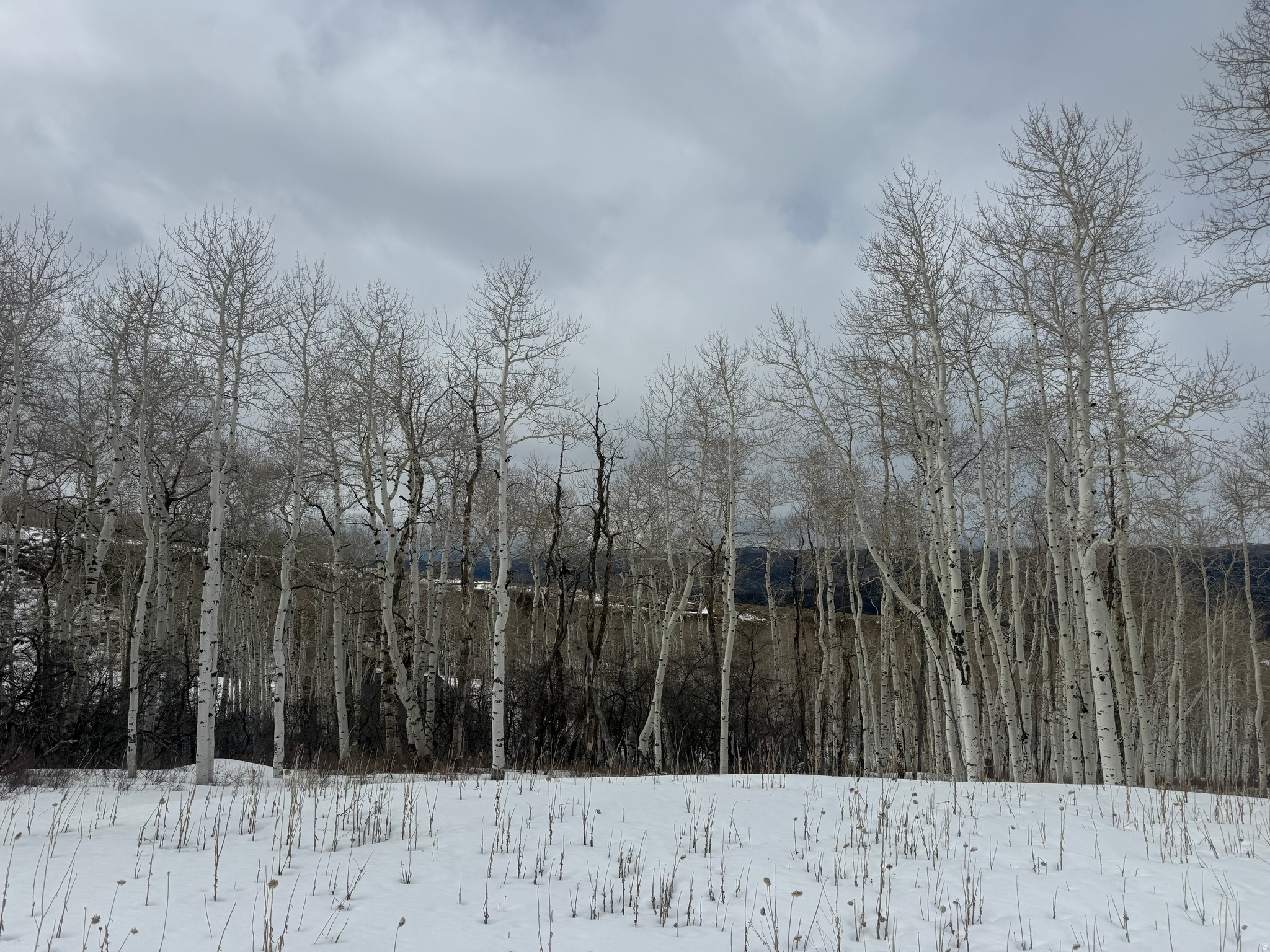 SOLDIER SUMMIT ESTATES - Land