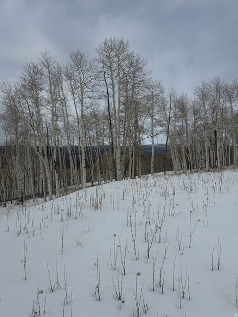 Tiny photo for DR #53, Spanish Fork, UT 84660 (MLS # 2144284)