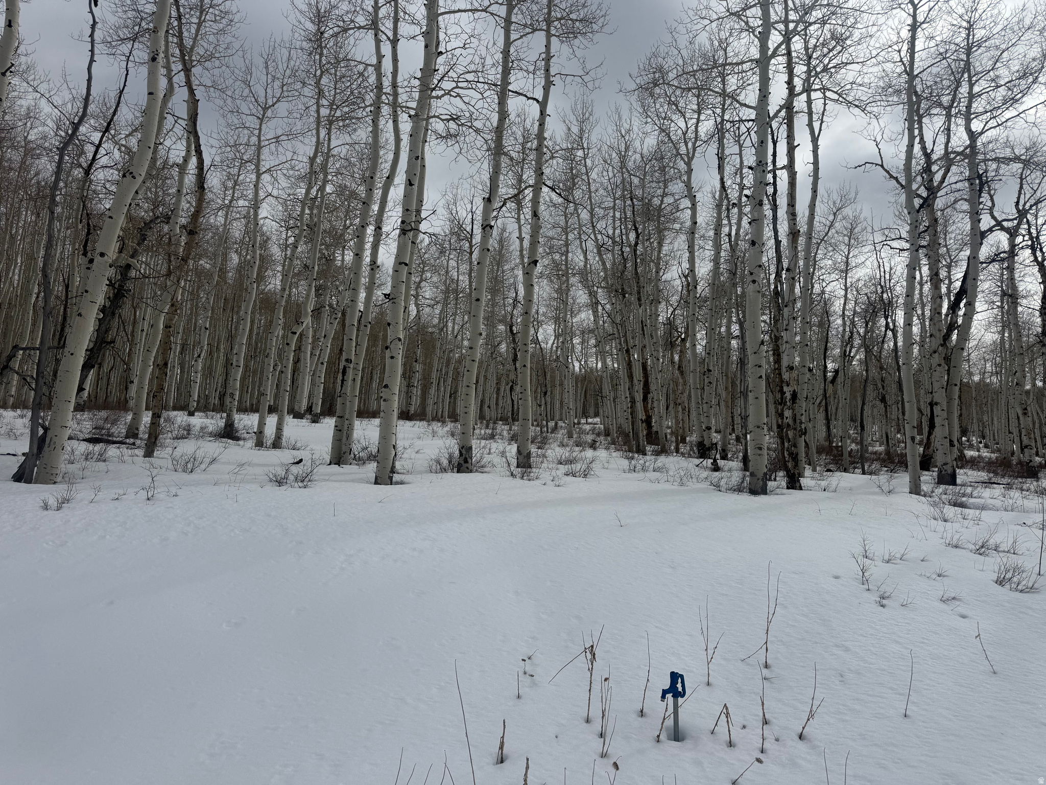 SOLDIER SUMMIT ESTATES - Land