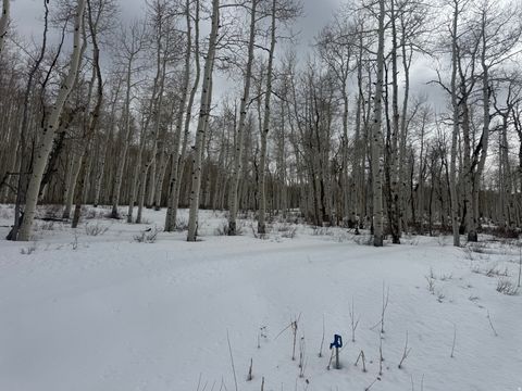 Tiny photo for DR #53, Spanish Fork, UT 84660 (MLS # 2144284)