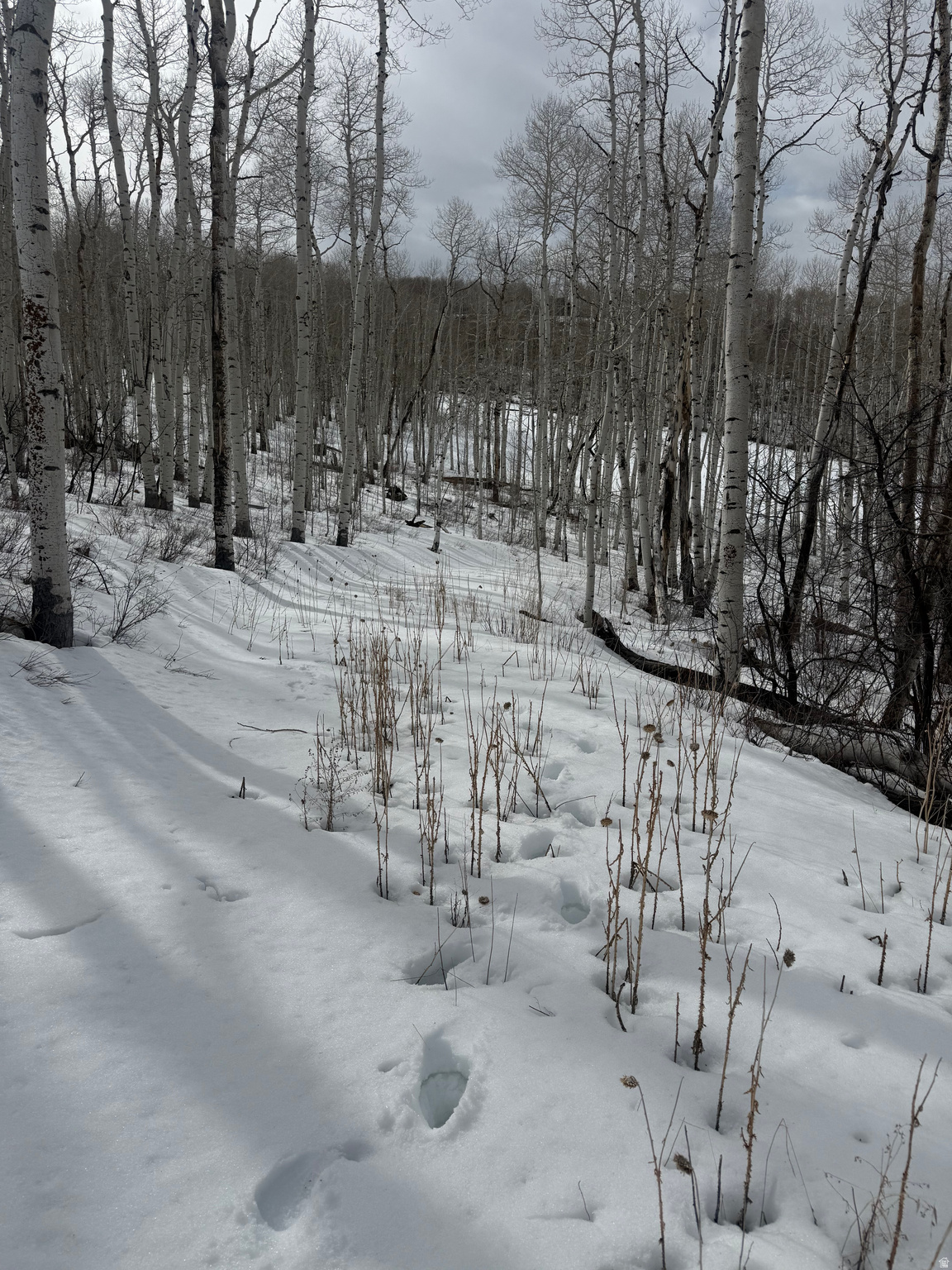 SOLDIER SUMMIT ESTATES - Land