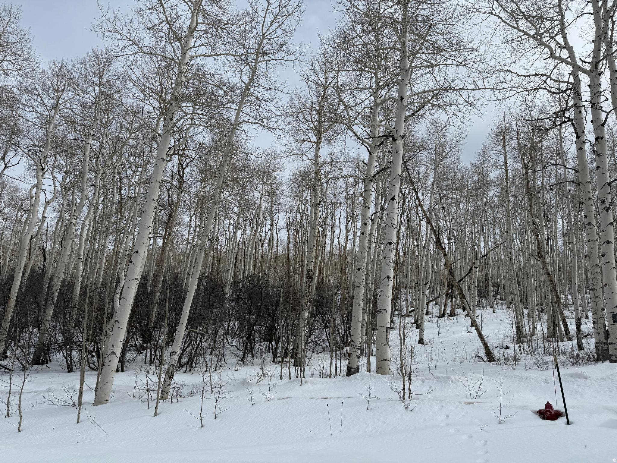 SOLDIER SUMMIT ESTATES - Land