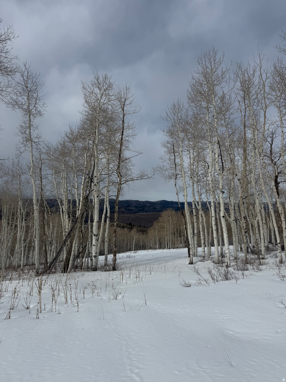 SOLDIER SUMMIT ESTATES - Land