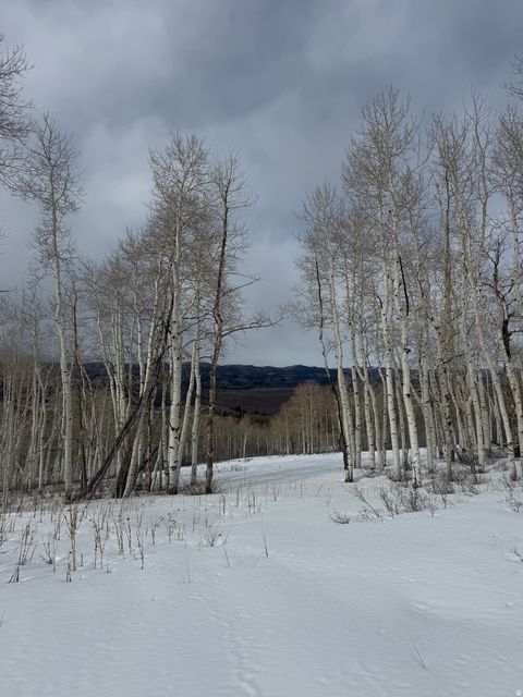 Tiny photo for DR #53, Spanish Fork, UT 84660 (MLS # 2144284)