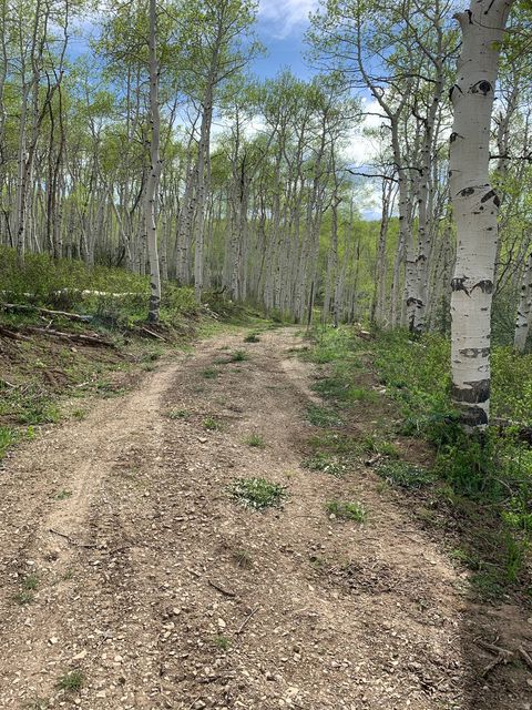 Tiny photo for DR #53, Spanish Fork, UT 84660 (MLS # 2144284)