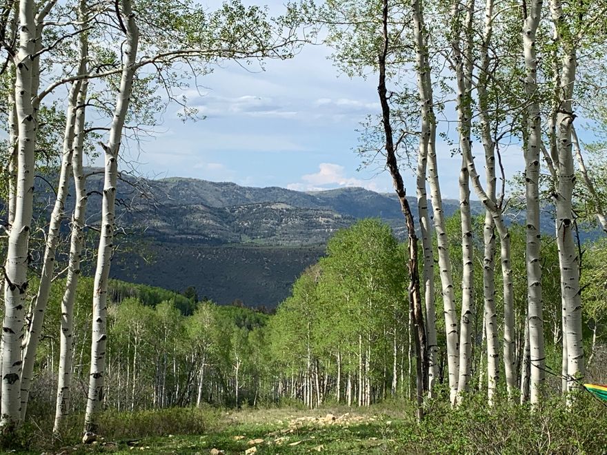 This is an amazing lot with the sounds of whispering aspens.  Whether this will be a weekend getaway or a place to call home; retreat to this mountain sanctuary with all year round access. Don't miss this opportunity to create your own haven.