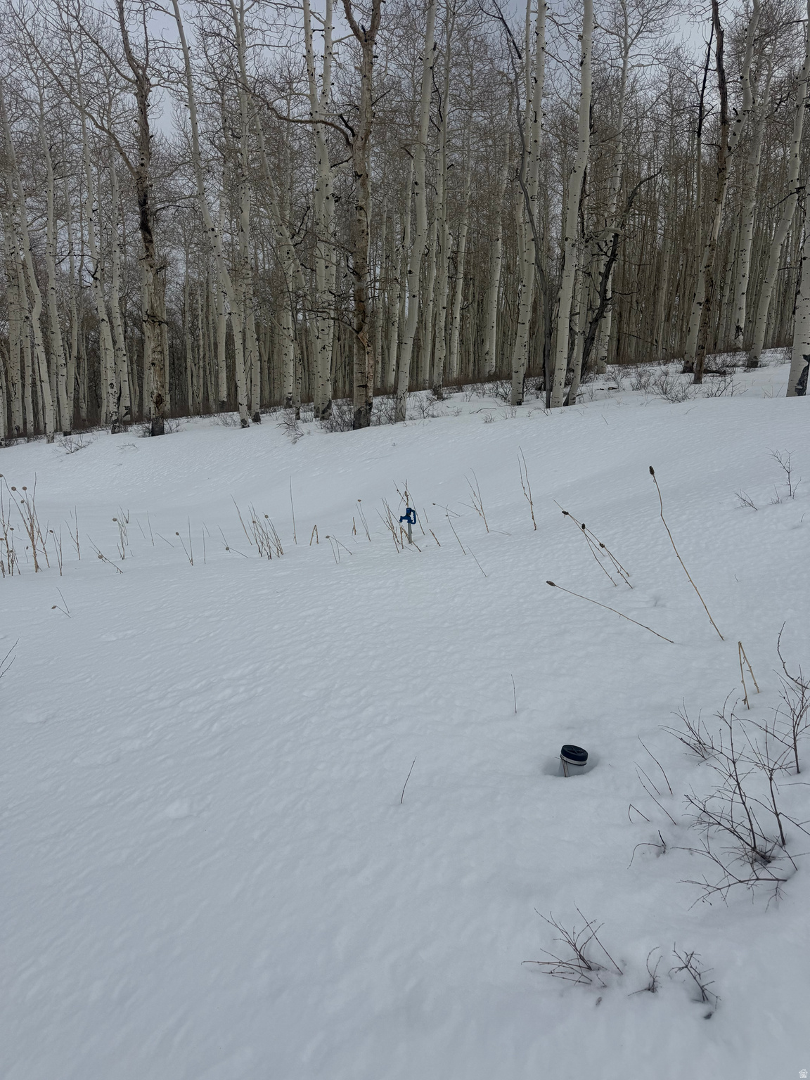 SOLDIER SUMMIT ESTATES - Land