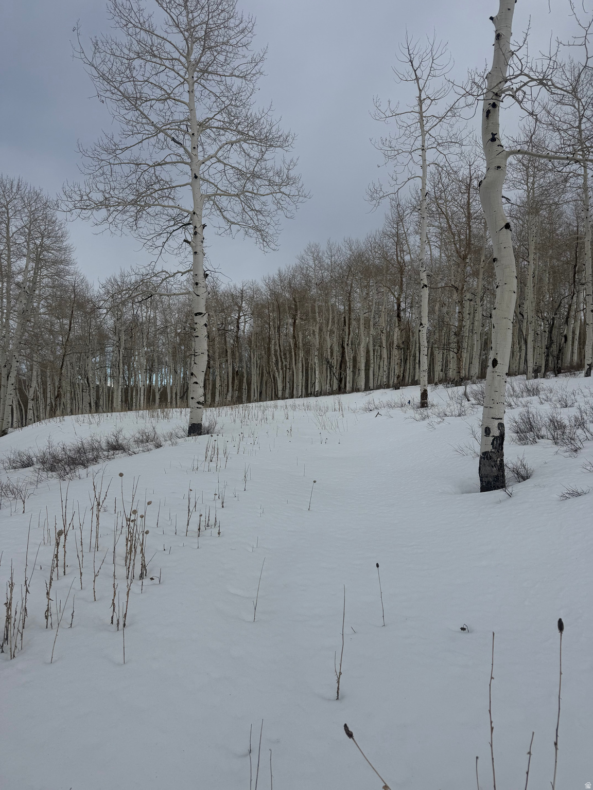 SOLDIER SUMMIT ESTATES - Land