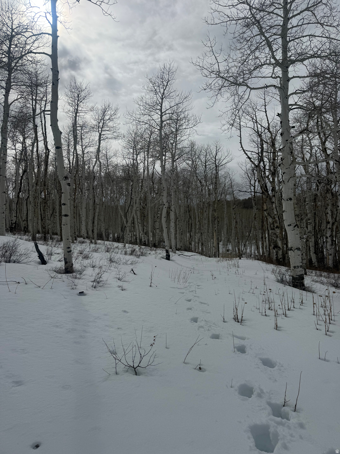 SOLDIER SUMMIT ESTATES - Land