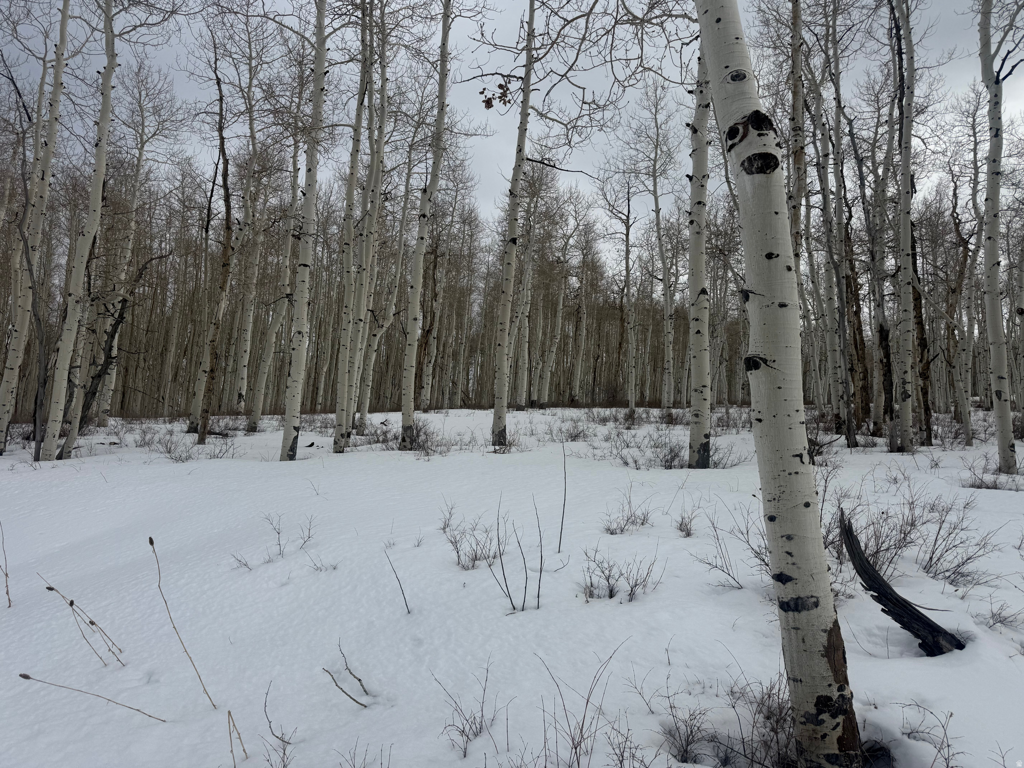 SOLDIER SUMMIT ESTATES - Land