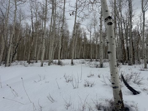 Tiny photo for DR #53, Spanish Fork, UT 84660 (MLS # 2144284)