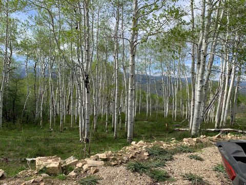 Tiny photo for DR #53, Spanish Fork, UT 84660 (MLS # 2144284)