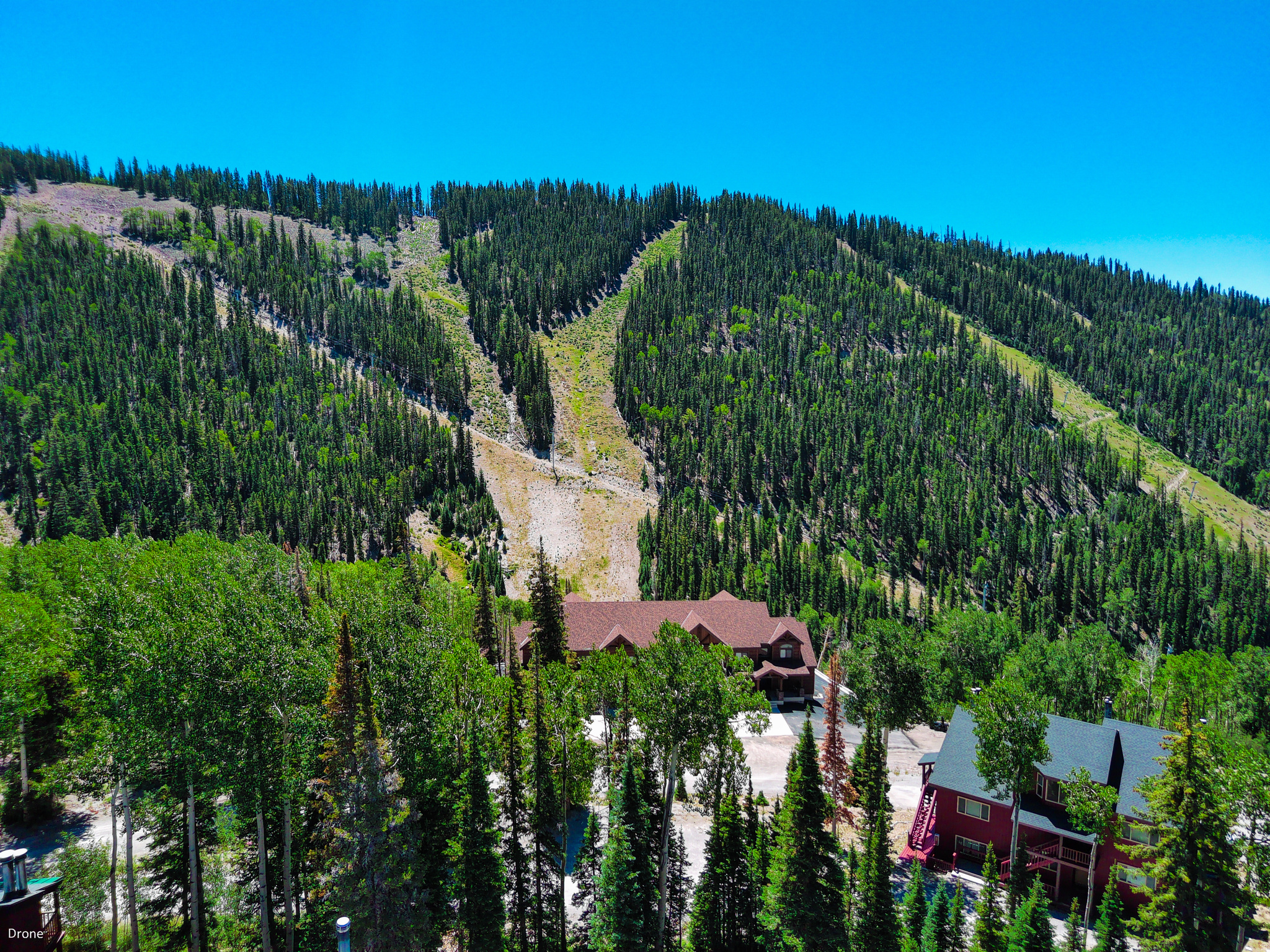 SNOWFLAKE CONDOS - Residential