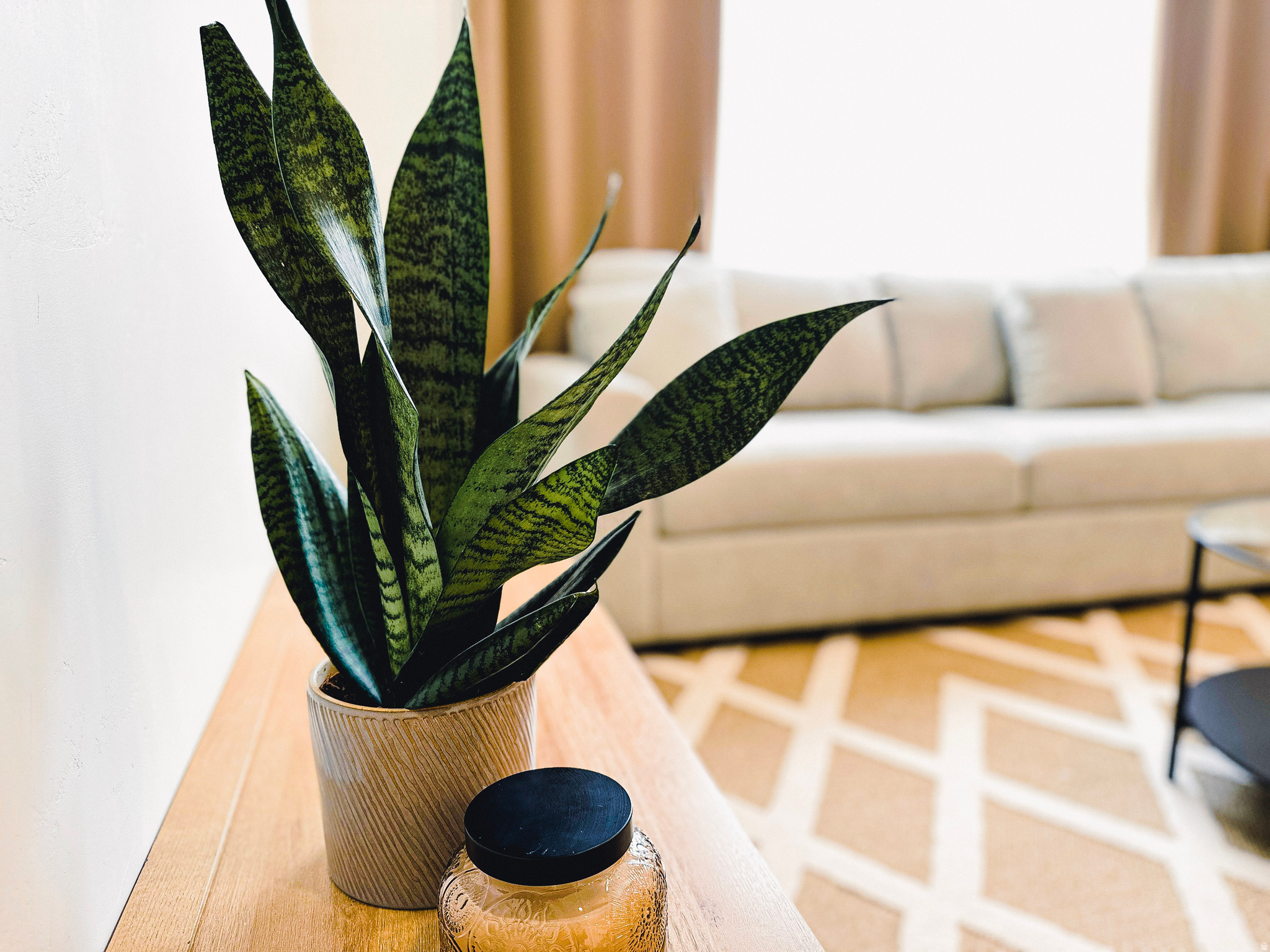 AMERICAN FORK - Residential