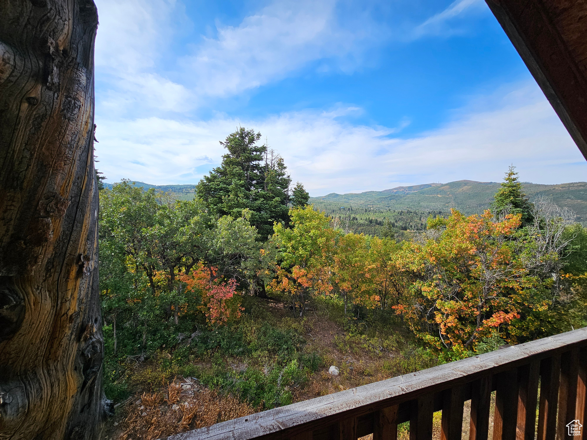 FOREST MEADOW RANCH SUB - Residential