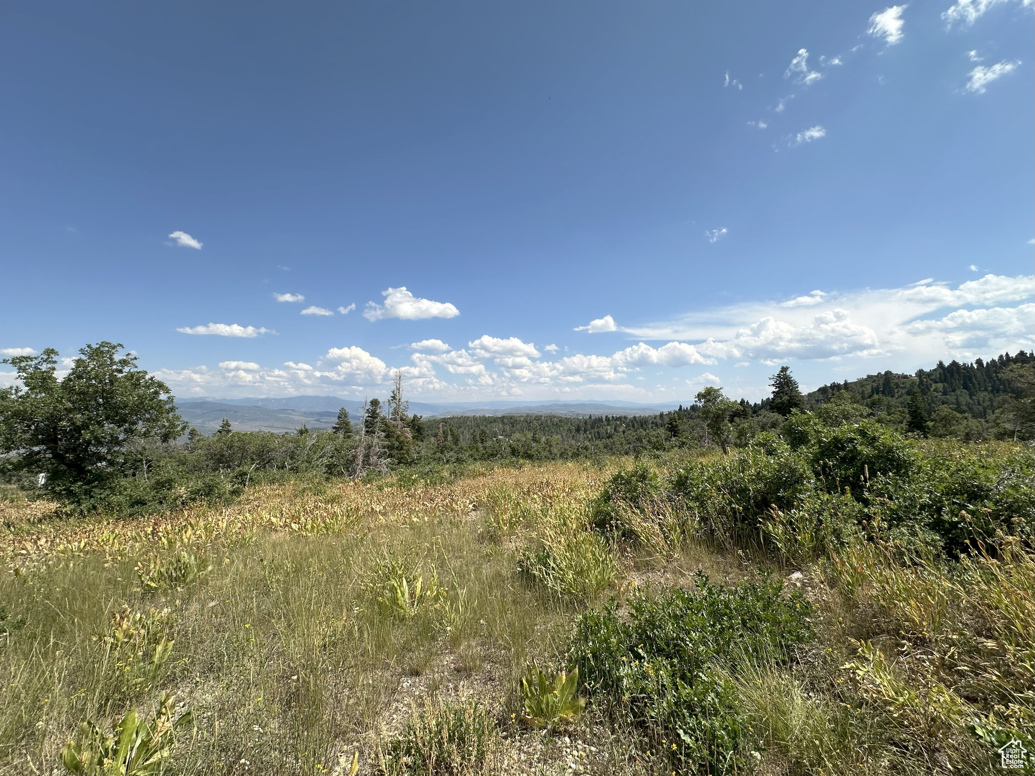 FOREST MEADOW RANCH SUB - Residential