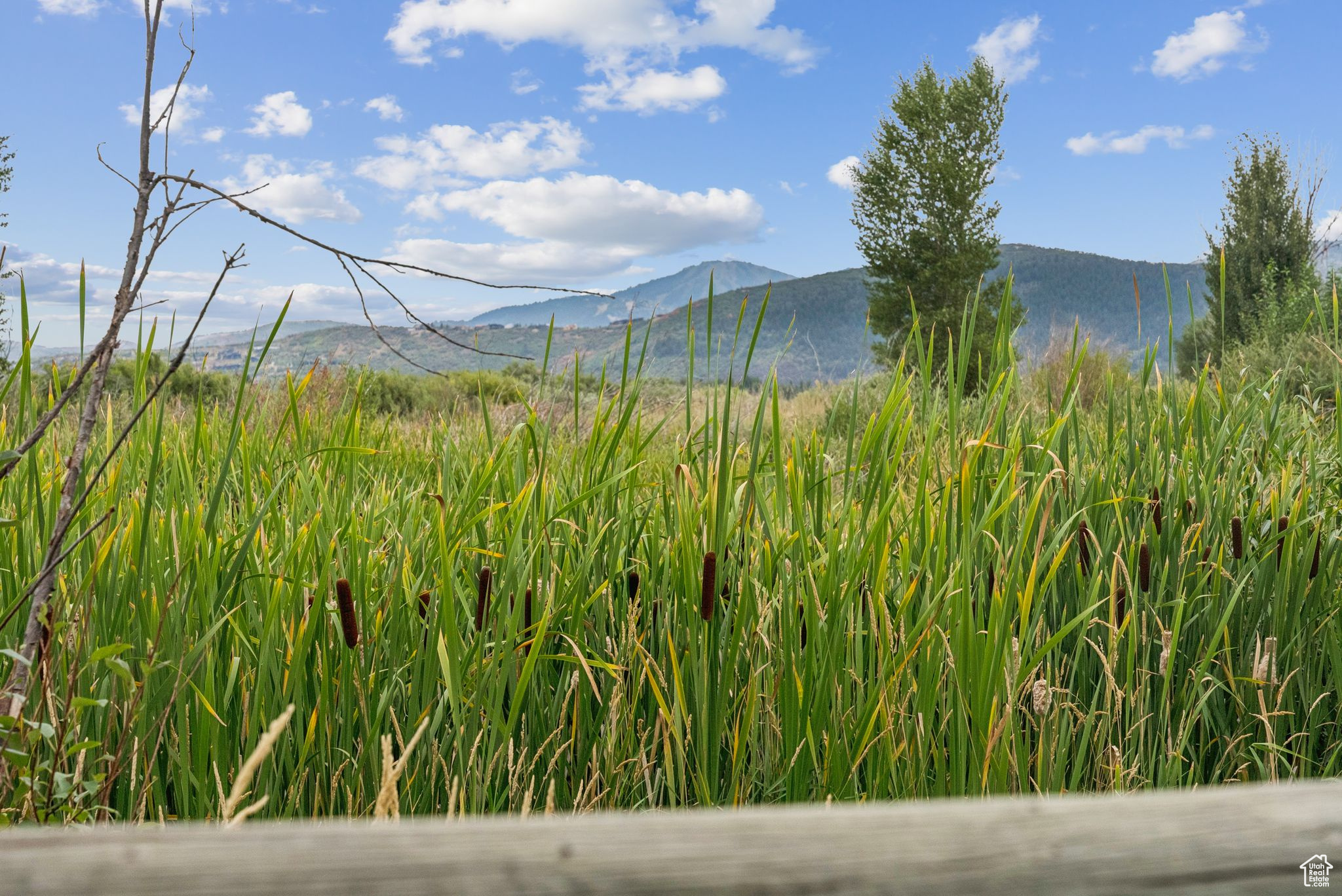 NEWPARK TERRACE AMENDED CONDOMINIUM - Residential