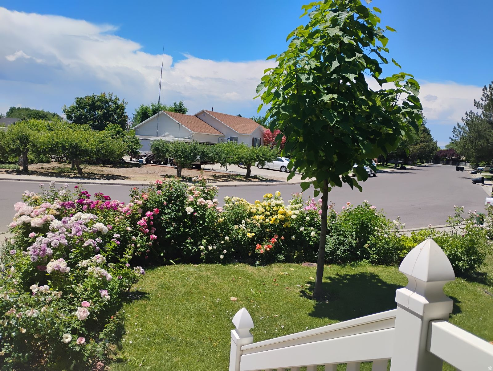 CANYON VIEW HEIGHTS - Residential