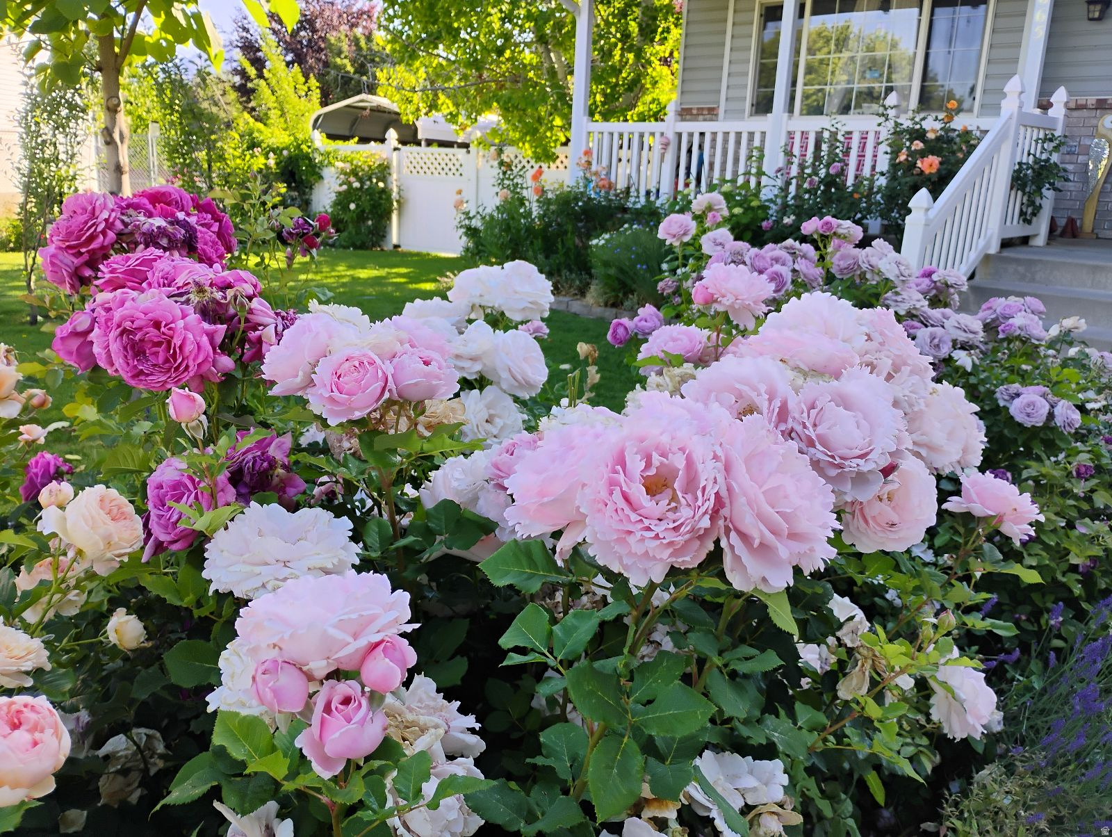 CANYON VIEW HEIGHTS - Residential