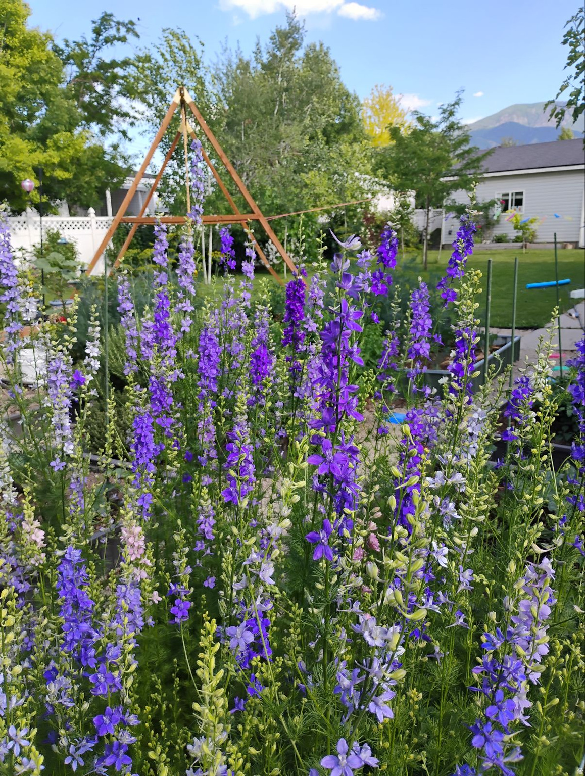 CANYON VIEW HEIGHTS - Residential