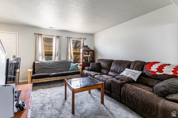 SOUTH WILLOW - Residential
