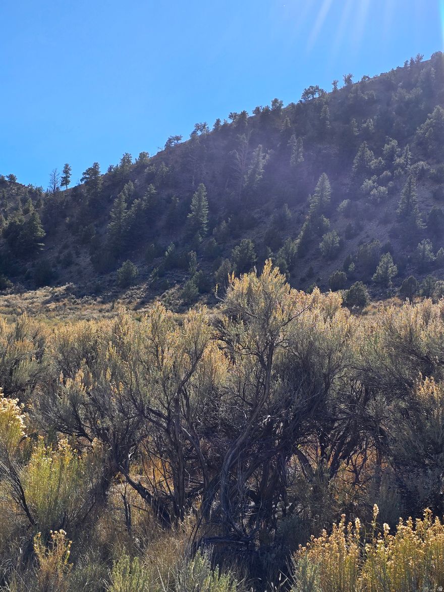 Escape to the mountains in the heart of the Strawberry Pinnacles area. This 17.5-acre parcel sits in a secluded valley just minutes from the scenic Strawberry River, with Red Creek running along the neighboring property. Approximately 3 acres are usable for camping or a small cabin site, with the remainder consisting of rugged, mountainside terrain. Access is via a long, rough mountain road suited for higher-clearance vehicles. Perfect for recreation, exploring, and enjoying Utah's natural beauty. Buyer to verify access, utilities, and all property details.  Buyer is advised to obtain an independent measurement.