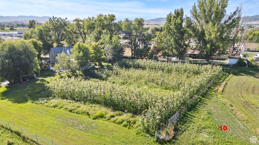 Prime property with direct frontage along highway 89. This unique opportunity includes valuable acreage and water shares making it ideal for residential agricultural or potential commercial use. Excellent visibility and access add to the investment appeal.