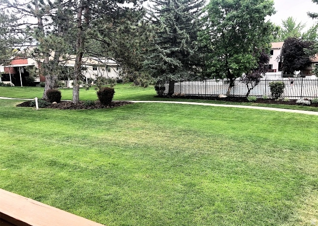 SANDY HIGHLANDS - Residential