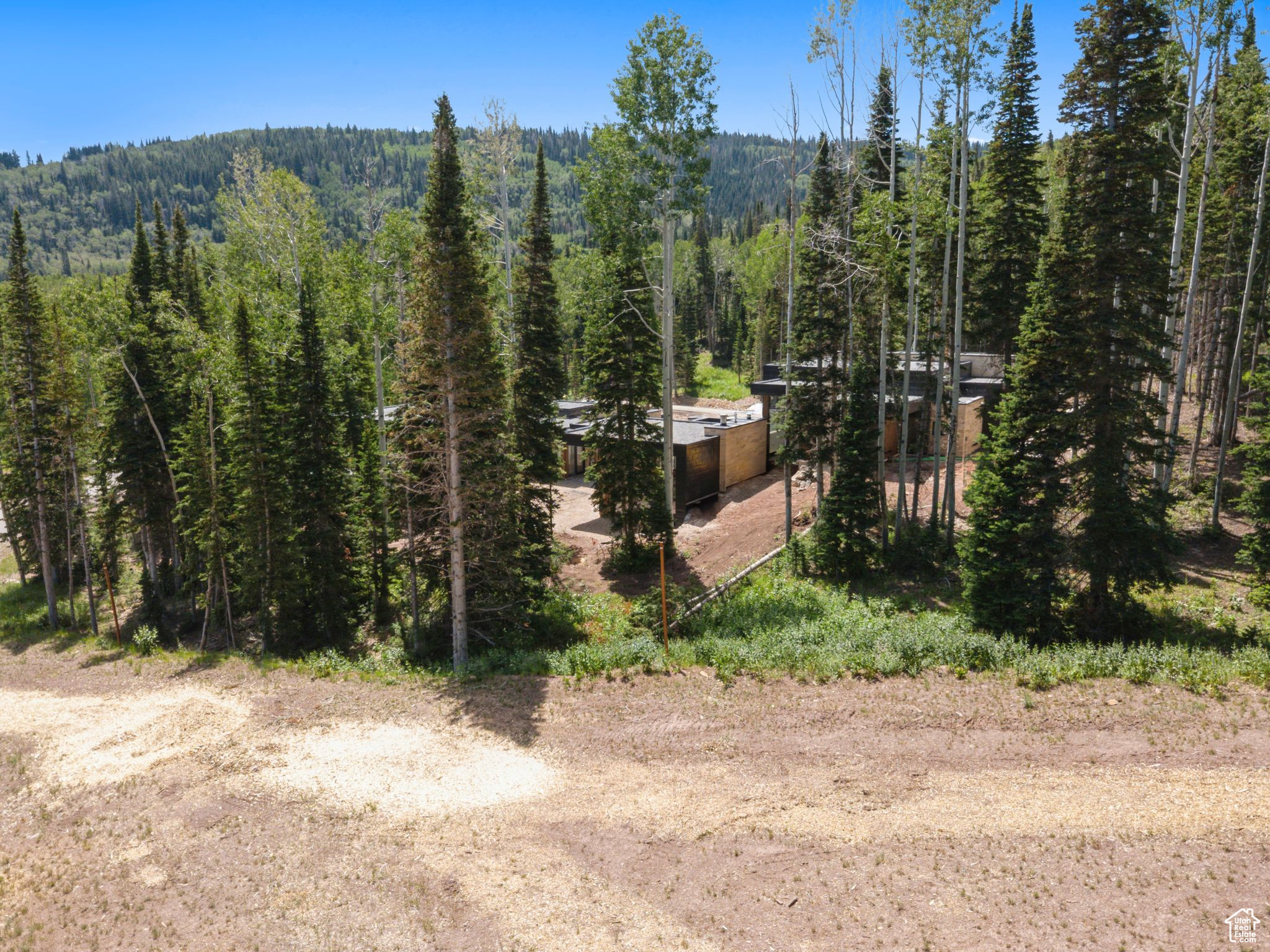 COLONY AT WHITE PINE CANYON - Residential