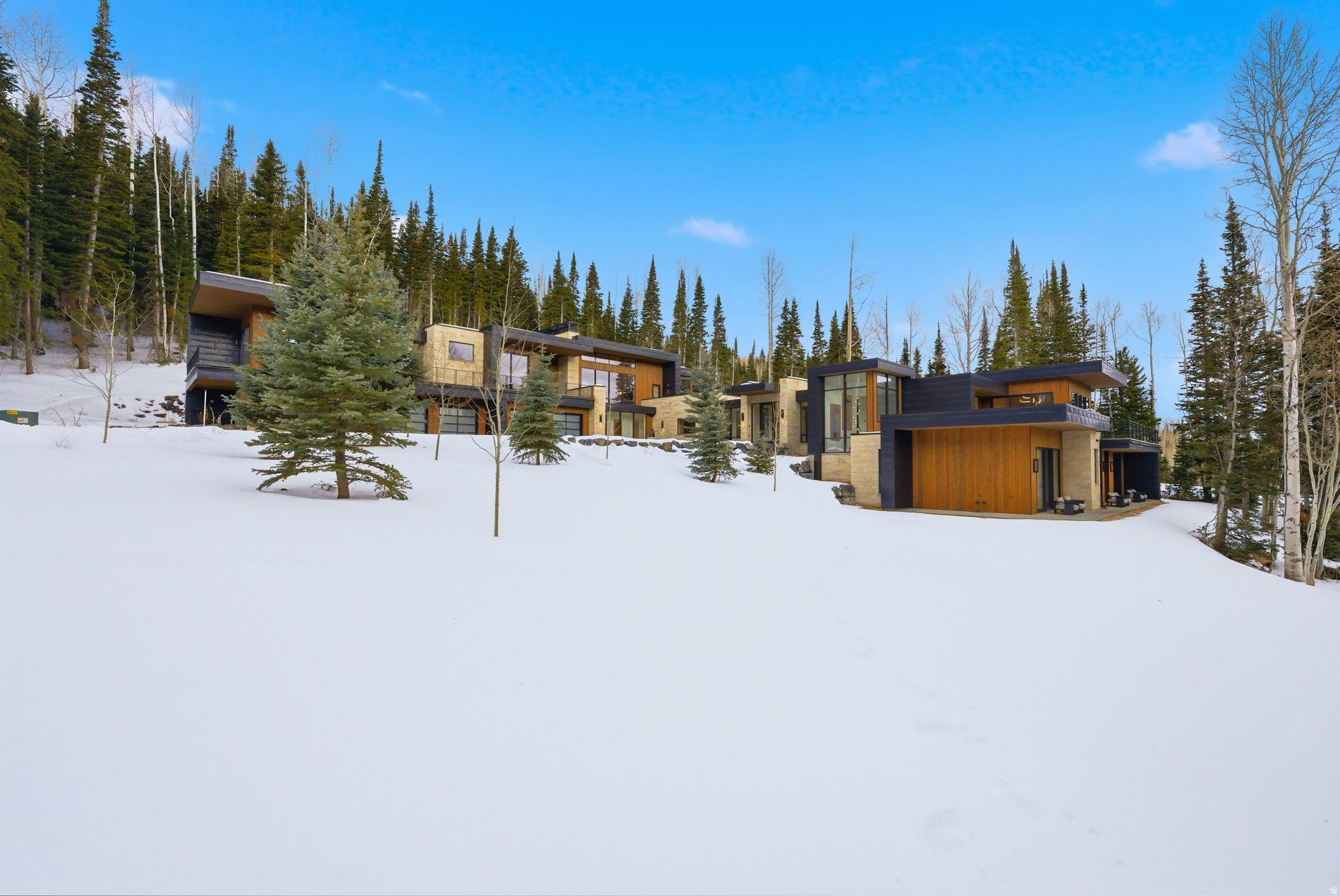 COLONY AT WHITE PINE CANYON - Residential