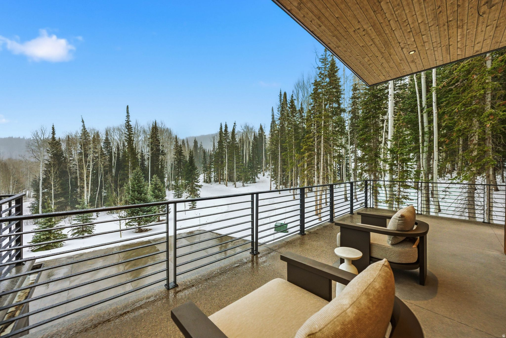 COLONY AT WHITE PINE CANYON - Residential