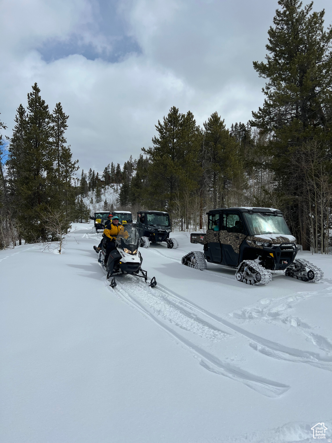 THE CABINS AT BEAR RIVER LODGE - Residential