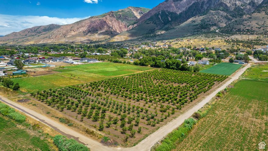 Amazing development opportunity! Current zoning allows half acre lots. If you have over 20 acres, Willard City will allow higher density. There is another 15.45 acres available in between these two parcels. MLS number 1889056. See attached picture. The total with all 3 parcels is 24.76 acres. The owner of the 9.310 acres has 98 shares of Willard Irrigation. The neighboring development to the North has .50 acre lots and a development to the South has approval for lots as small as 5,000 square feet, which makes this very unique. With the property being less than 10 minutes to the Pleasant View I15 exit, 10 minutes to the Willard Bay State Park, and the gorgeous views of the mountains and the bay, this property will be highly desirable for future homeowners. The property sits in the USDA Development Zone as well which allows options for an additional loan type for borrowers of future homes, that is typically more affordable than other loan types. Message agent for more details on this. The 6.310 acre parcel is a peach orchard with trees that are only 5 years old. It currently produces about $60,000/year net in fruit and could do so for another 15 years. The 3 acre parcel is currently a pumpkin patch and produces over $20,000/year net in crop. Consider making money on the land while getting a development approved or keep the orchard and build an estate on the 3 acres. The possibilities with this property are truly remarkable. The seller will only sell the 9.31 acreage all together.