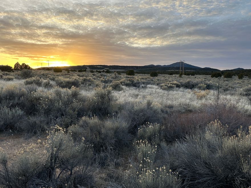 Prepare for your dream home on this 5.18-acre horse property, located approximately 15 mins west of Cedar City. The well is only 1 yr old, 500' feet deep, with pump and pressure system installed. Power on site. 1 acre-foot water right avail, not included.
