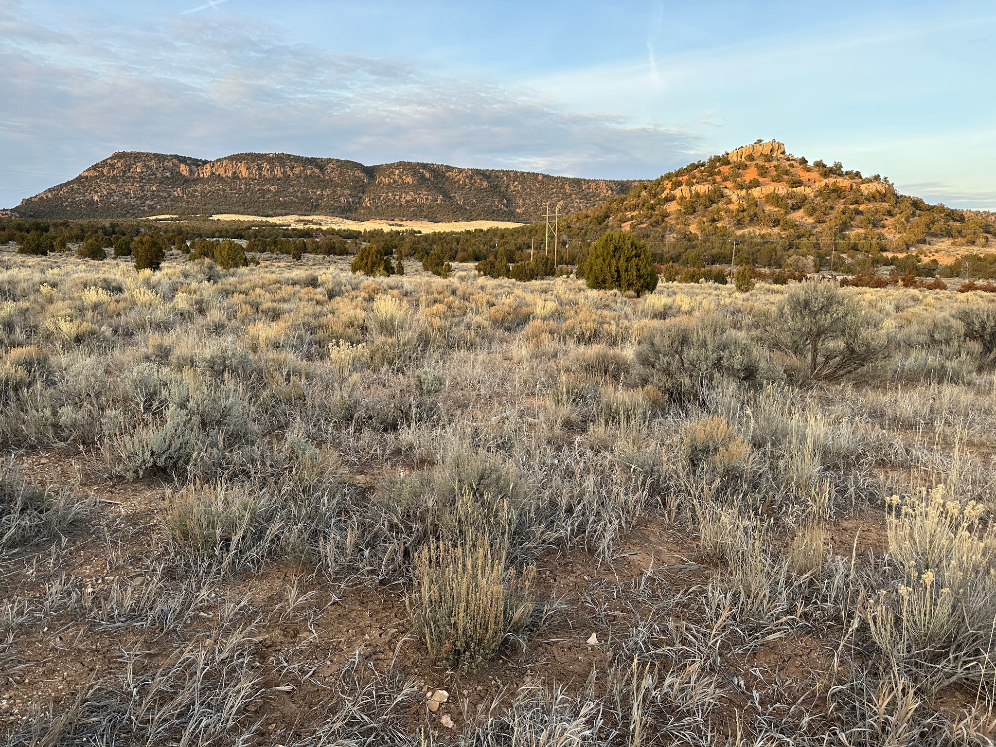 M & N RANCH SUBDIVISION - Land