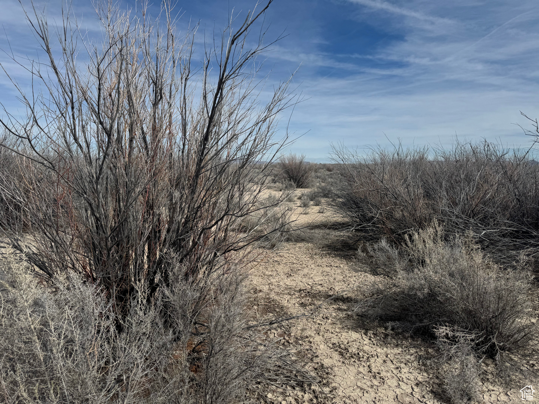 40 Acres West Hwy 257, Delta, Utah image 6