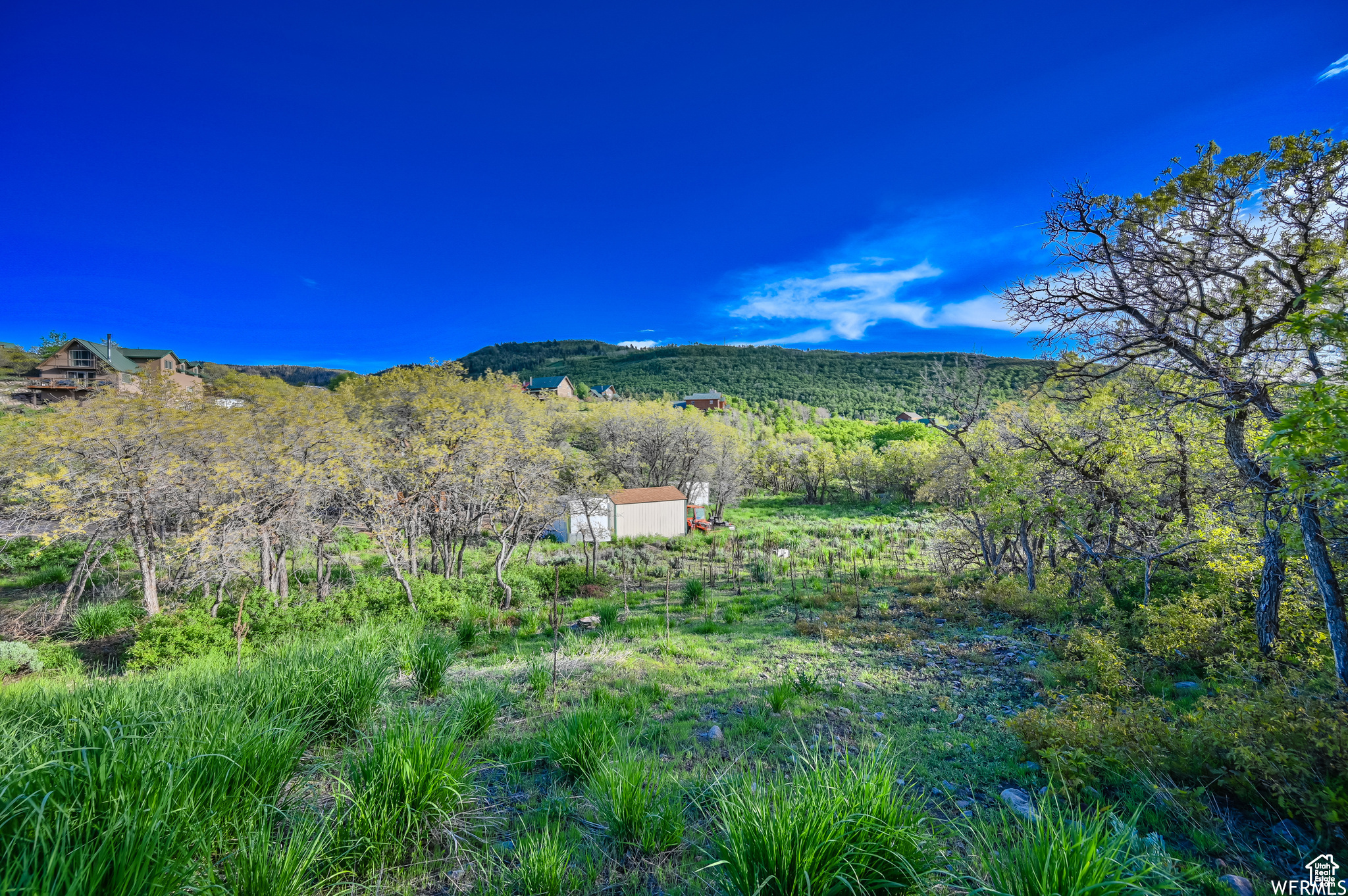 TIMBER LAKES - Residential