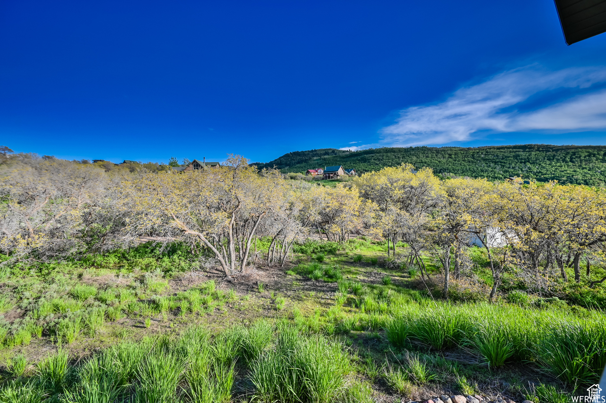TIMBER LAKES - Residential