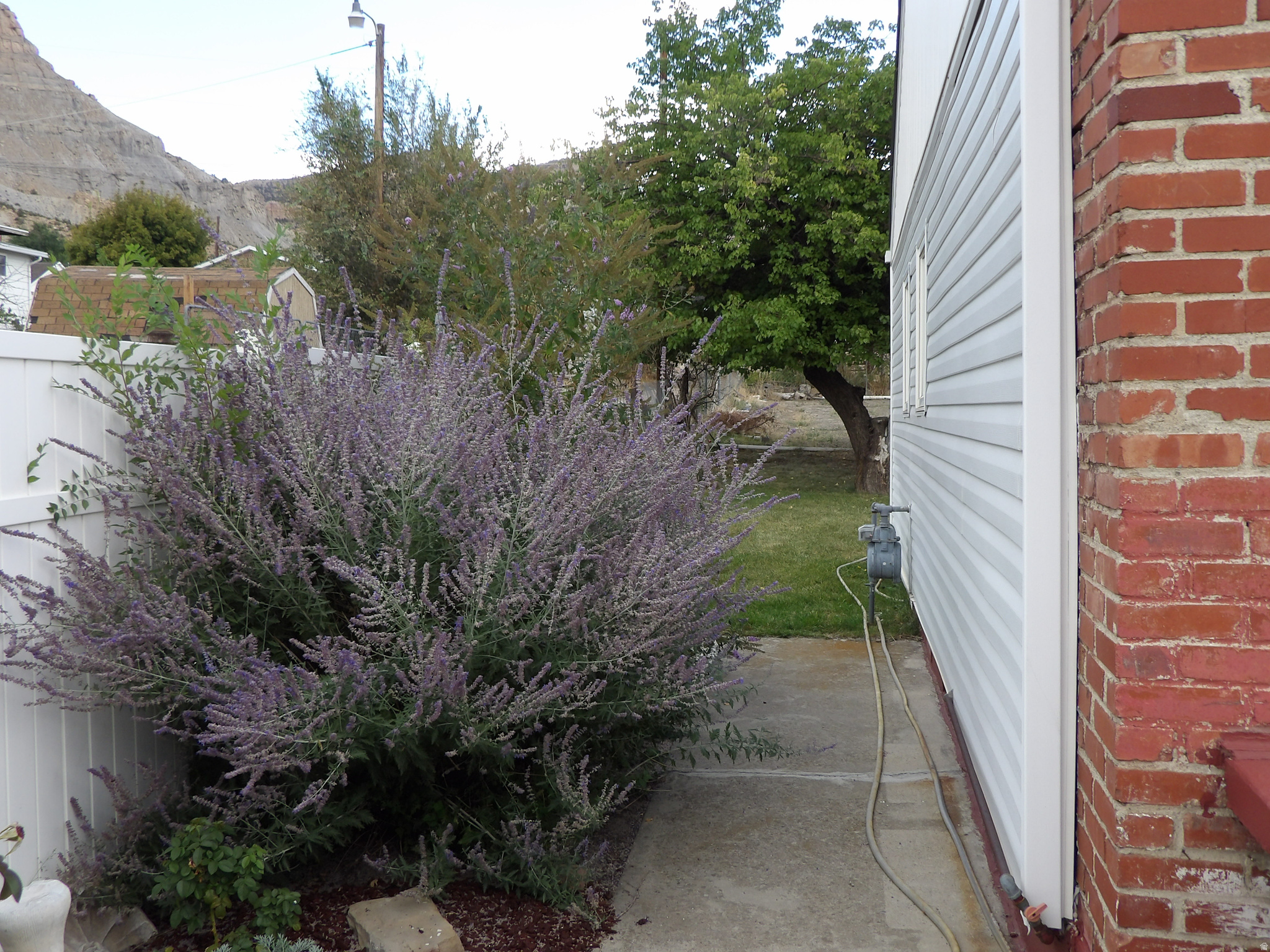 BELVEDERE ADDITION - Residential