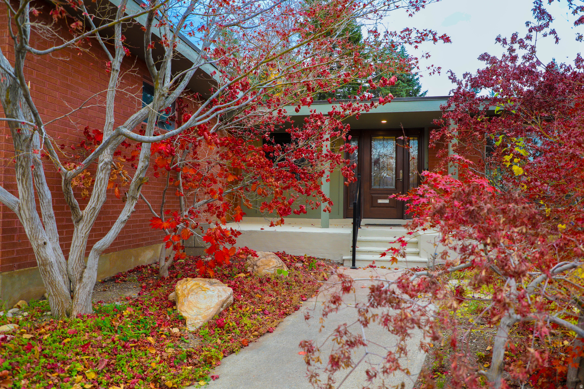 MT OLYMPUS HILLS - Residential