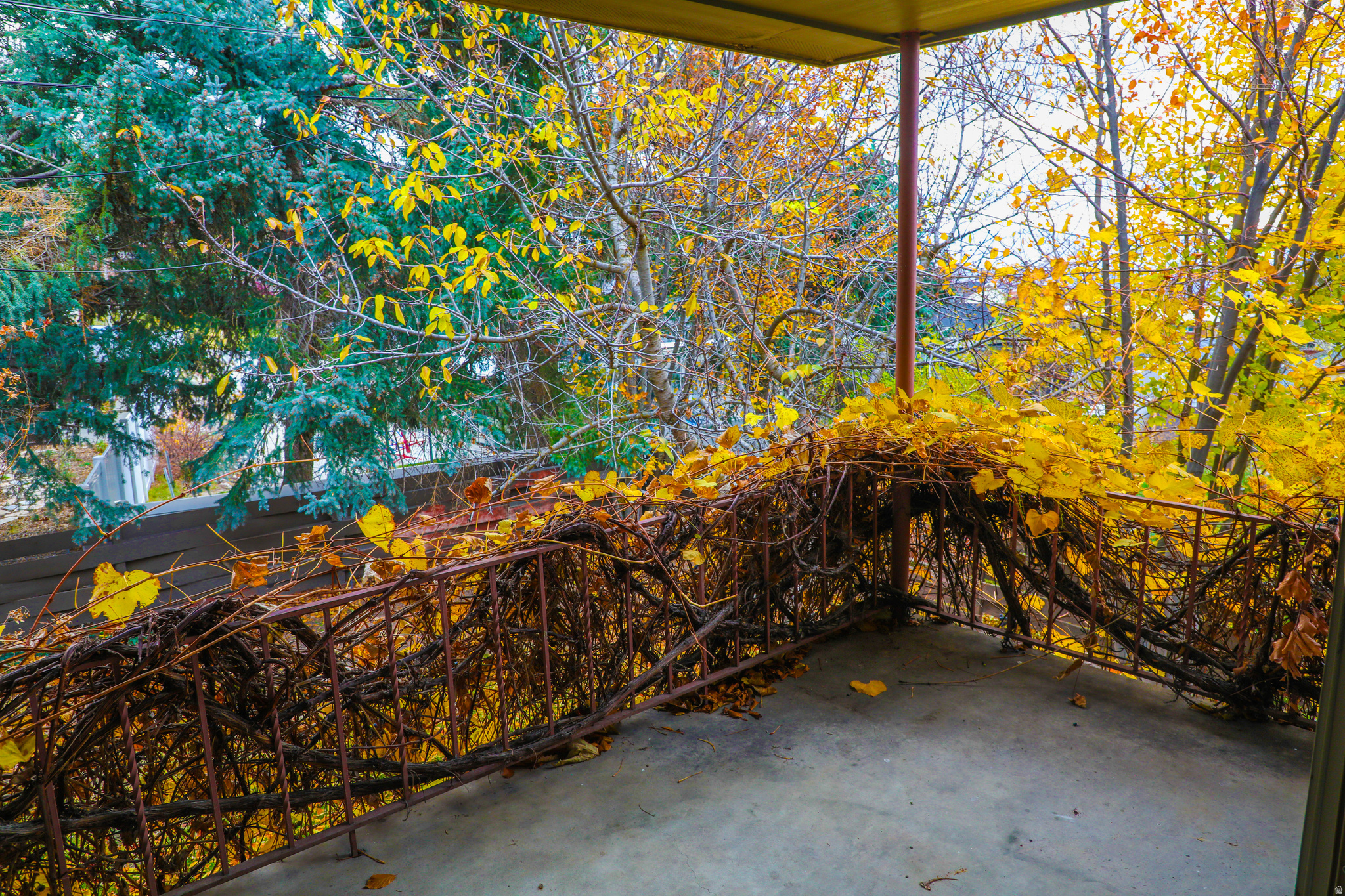 MT OLYMPUS HILLS - Residential