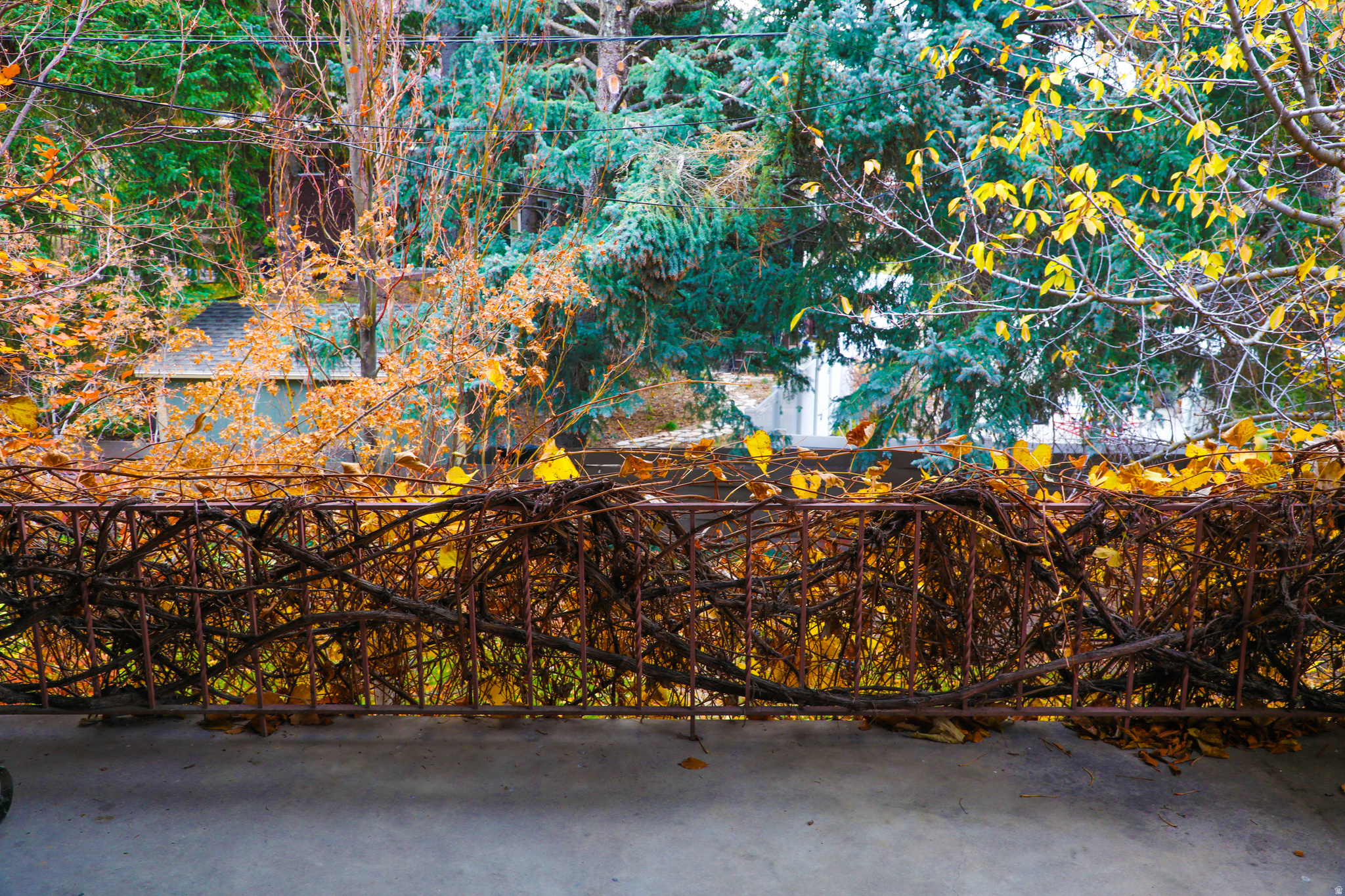 MT OLYMPUS HILLS - Residential