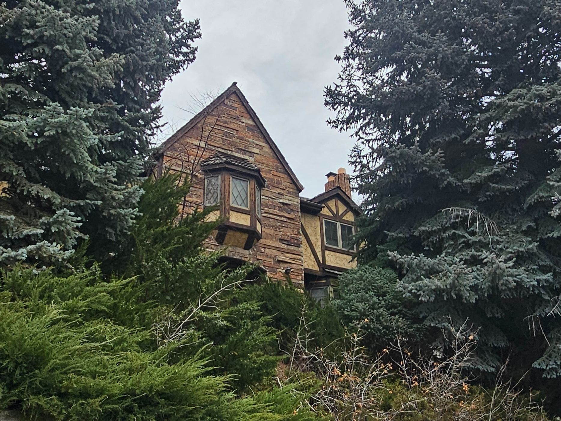 MCLAINS MOUNTAIN SUB - Residential