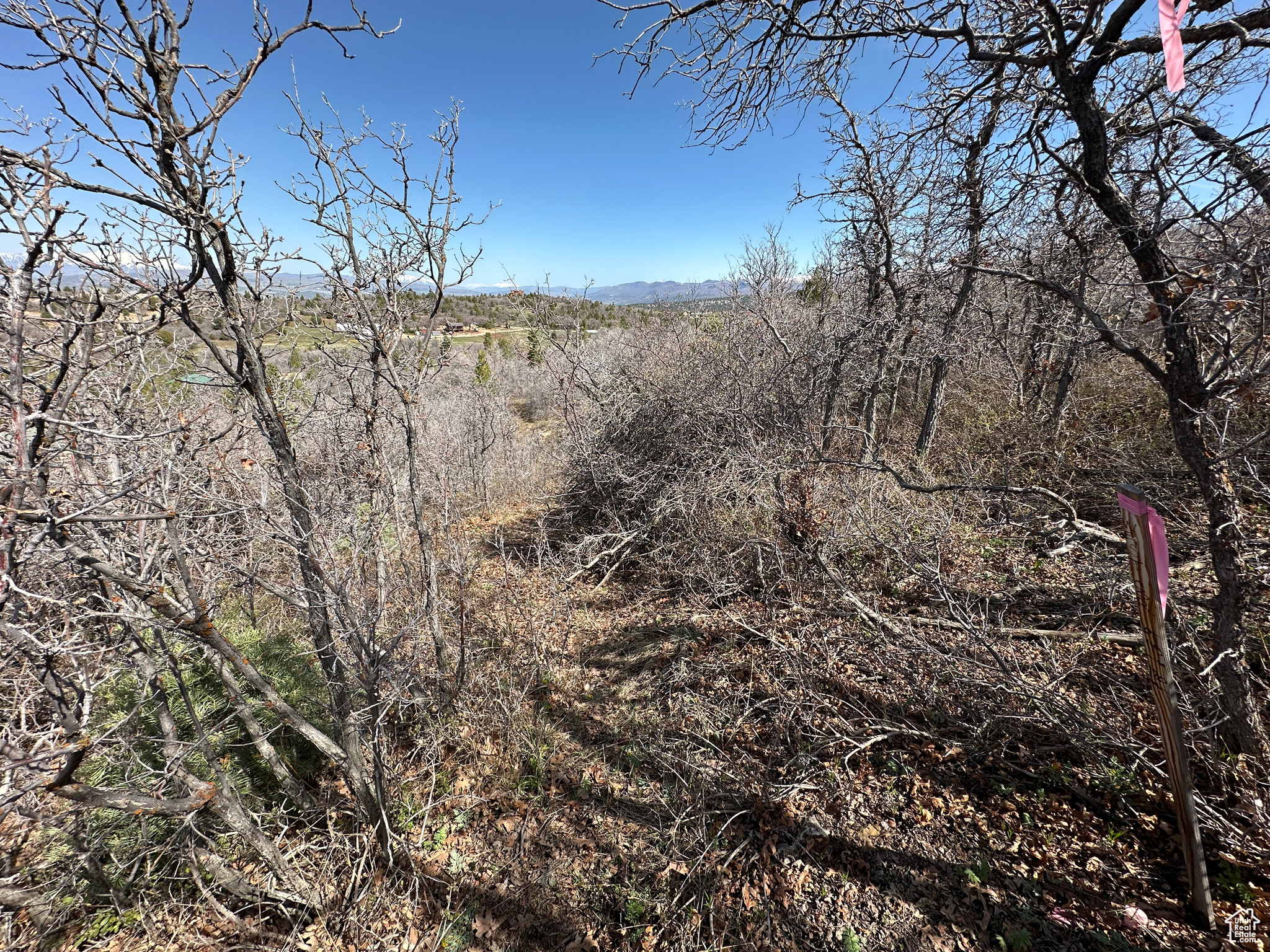 13810 N 11625, Mt Pleasant, Utah image 30