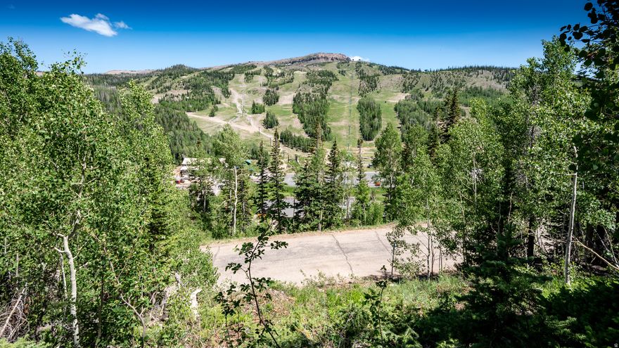Premium Half-Acre Mountain Lot with Stunning Views - This exceptional half-acre parcel offers an unparalleled opportunity to build your mountain retreat. With over 200 feet of town-maintained road frontage and 110 feet of depth, the property provides ample space and flexibility for your vision. Key Features include Breathtaking Panoramas: Enjoy unobstructed vistas of Brian Head Peak and the renowned Giant Steps Slopes from this perfectly positioned lot. With versatile building options, this natural topography and generous size creates multiple possibilities for home placement, ensuring you can design the perfect layout while preserving those spectacular mountain views and strategically situated to guarantee your views remain protected from future development. All essential utilities are already available in the street, streamlining your building process. The town provides year-round snow removal on the maintained road, so you can focus on enjoying mountain life without winter upkeep concerns. Visit the property and climb the existing steps to envision the elevated perspective from your future home's main level. This is more than just a building lot, it's your gateway to the mountain lifestyle you've been dreaming of.