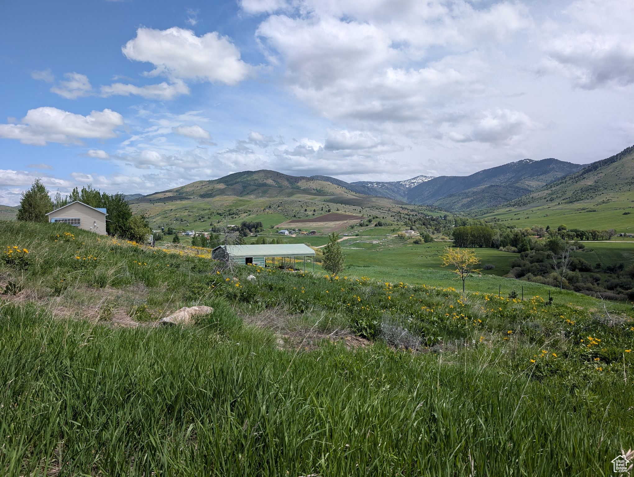 7936 N Valley View Dr #8, Preston, Idaho image 5