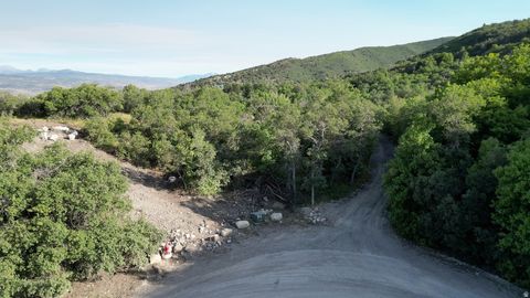 Vacant Land For Sale - 23207 N 13811 #104<br/> Sanpete County, Fairview, UT 84629